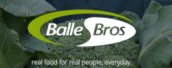 Logo Ball Brothers